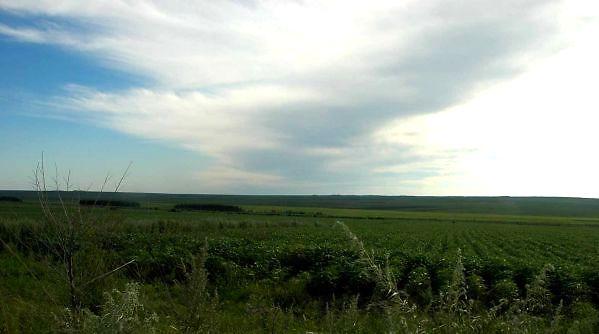  p>平原(plain)是地面平坦或起伏较小的一个较大区域,主要分布在大河