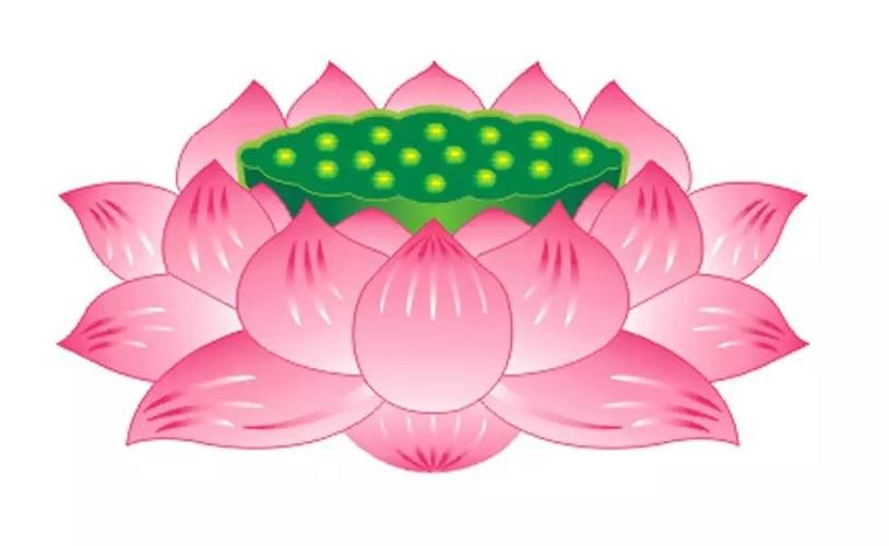 【莲花台】 文/宏翔