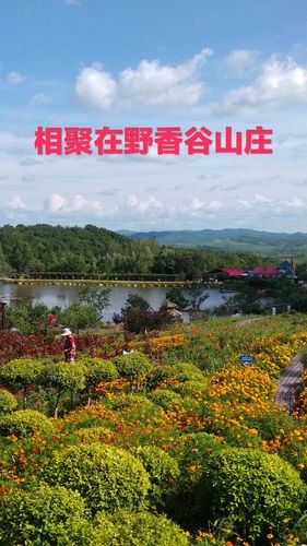 2018年8月15日乘车来到了缸窑镇野香谷山庄举办联谊会