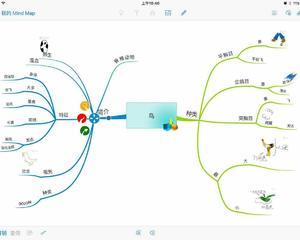 潘若琨思维导图武林计划n0.30《鸟》