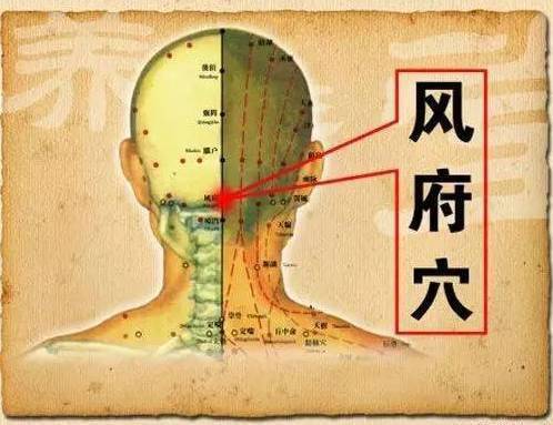 肩颈堵塞要人命!肩颈不通生百病