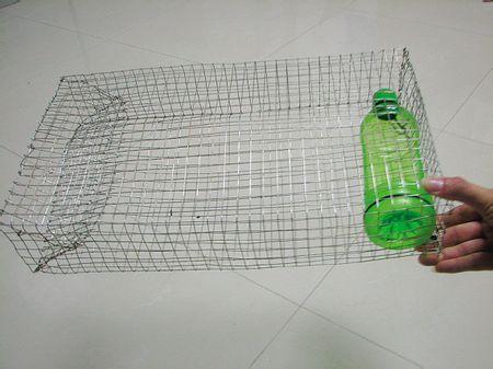 3x长1米的立体笼子,在一边开口做个"能进难出的入口"你可以用手掌伸
