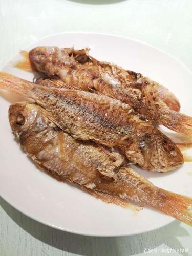 红占鱼,又称红衫鱼