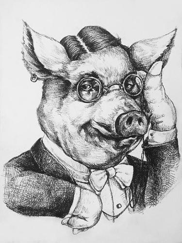 绅士猪系列(原创素描插画)