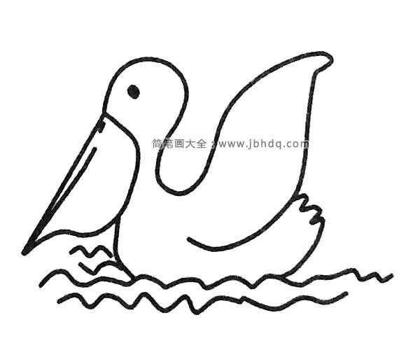 鹈鹕简笔画图片大全