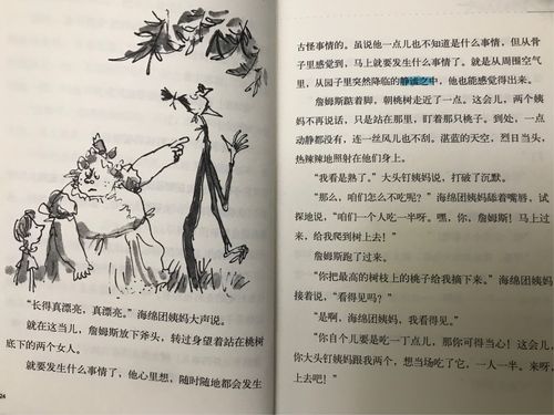 张涵理我爱阅读《詹姆斯与大仙桃》第二本