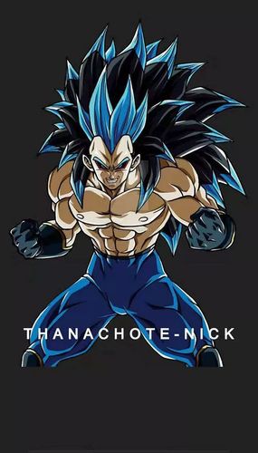 超级赛亚人9是赛亚人最高的等级,是由赛亚人的始祖亚莫西最先达到的