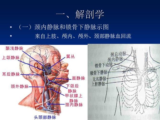 中心静脉穿刺置管详解