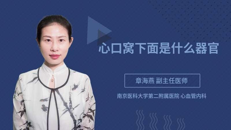 心口窝下面是什么器官