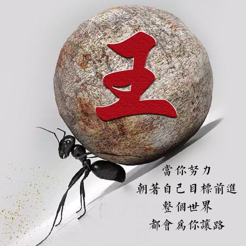 编号1747:20张免费姓氏,2020勇往直前-微信头像,氏