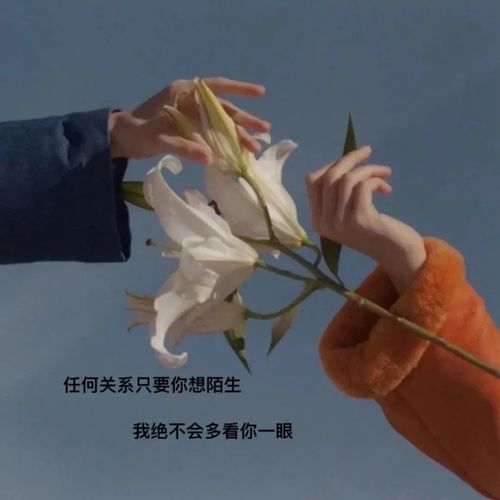 文案|我到底要怎么做 才配得上你的偏爱和例外