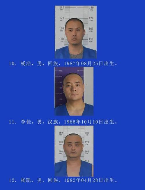 悬赏20000元新蔡人见到这名男子请立即报警还有
