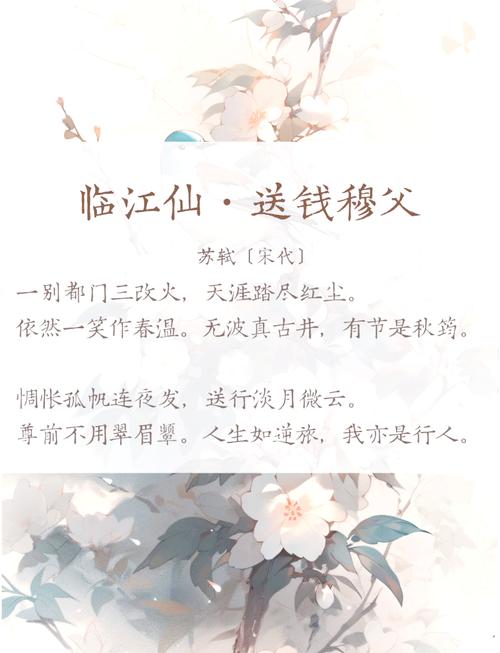 每日诗词19丨临江仙·送钱穆父