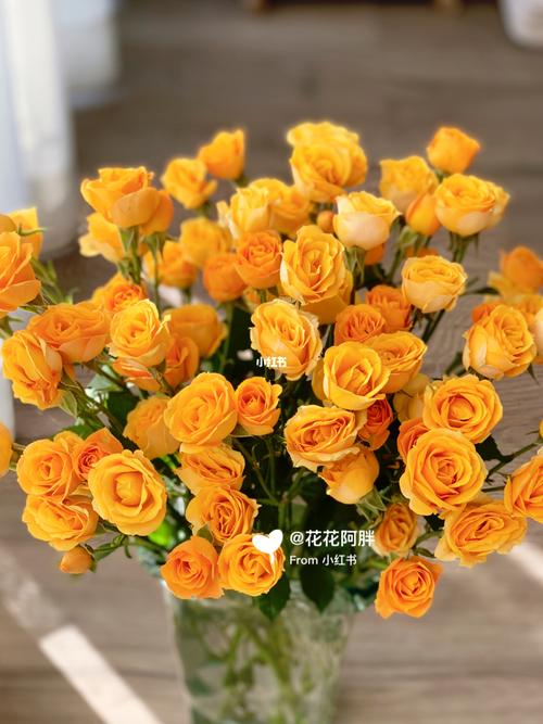 多头玫瑰 枫糖泡泡_家装_家居_家居装饰_家居家装