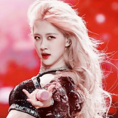 科切拉音乐节rose