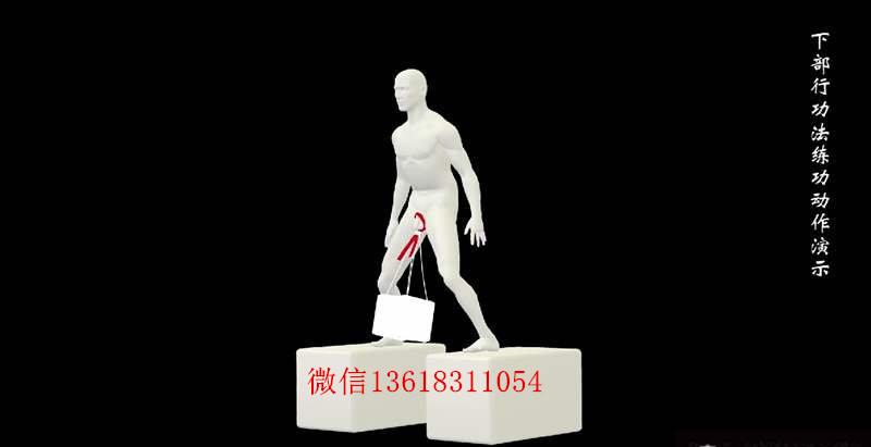 男性洗髓功,洗髓功垂吊真的能变粗变大吗?