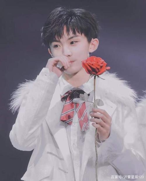 马嘉祺个人资料,马嘉祺的理想型女生什么样