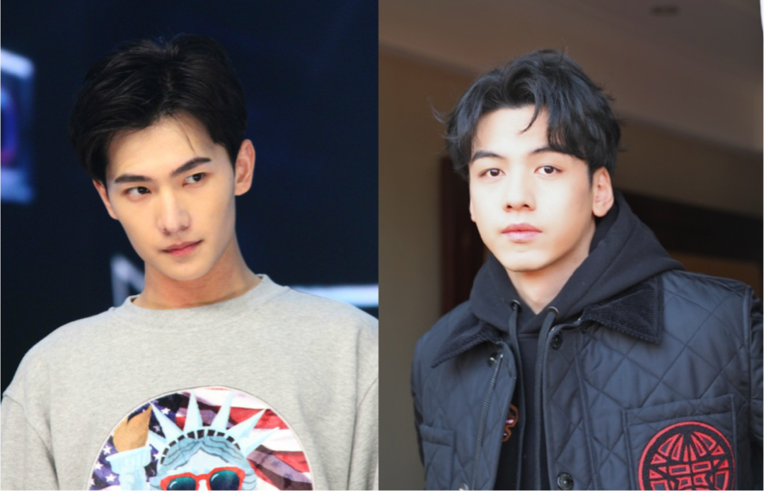 如果说杨洋是尺子比出来的端方标致,那刘迦就是端正中透着野性与偏离.