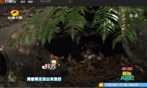 abc kids《童趣大冒险》澳洲行寻找塔斯马尼亚恶魔