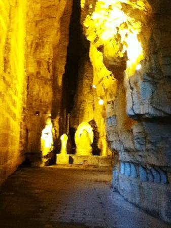 山间柿树 - picture of qingzhou, shandong - tripadvisor; 千佛洞