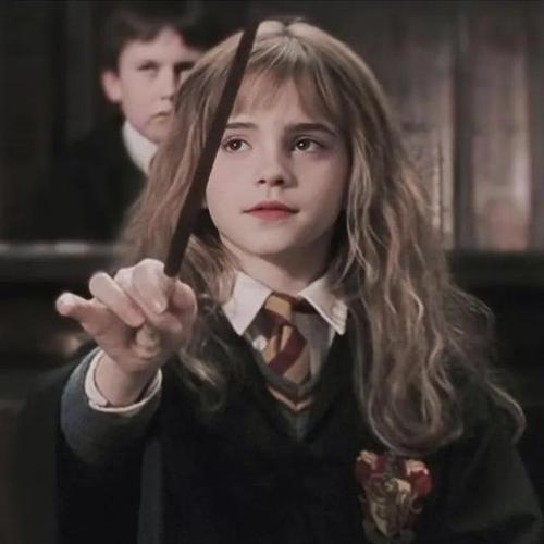 哈利波特真人头像