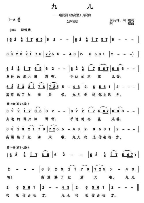 葫芦丝曲《九儿》曲谱,那位朋友有?