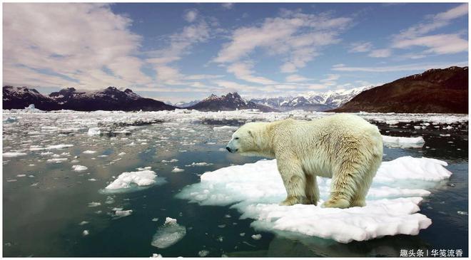 全球变暖利中国,降水带北移,西北绿化增加,1个沙漠已消失|气候|降雨量