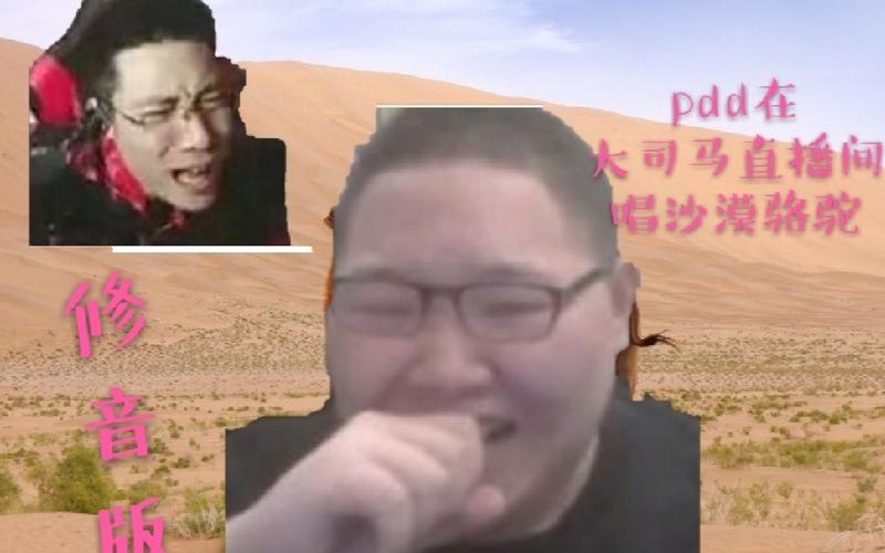【pdd】沙漠骆驼 我觉得还能抢救一波这首歌