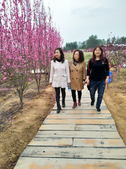 安州区乐兴镇百花园赏花.
