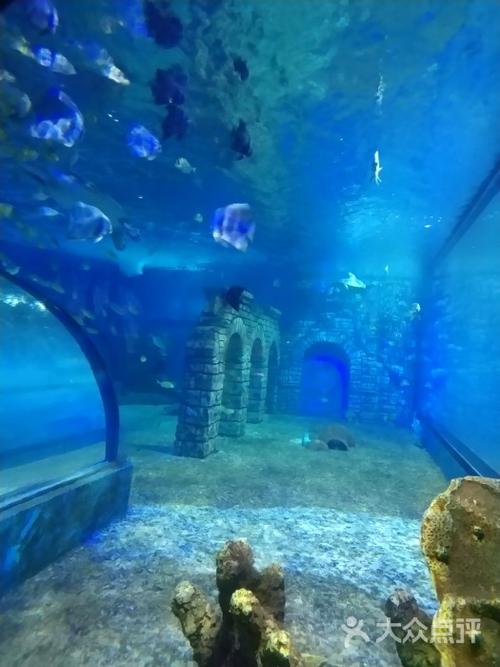 苏州乐园海底世界图片 - 第2张