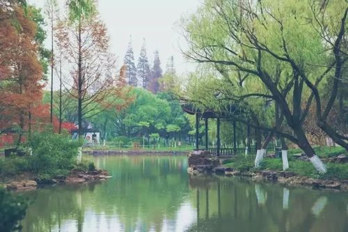 上海瀛洲公园
