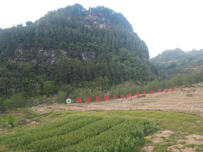 马渡关镇百丈村鲁班河欢迎您