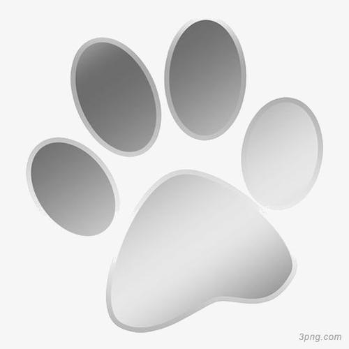 银色猫爪印png素材透明免抠图片-动植人物