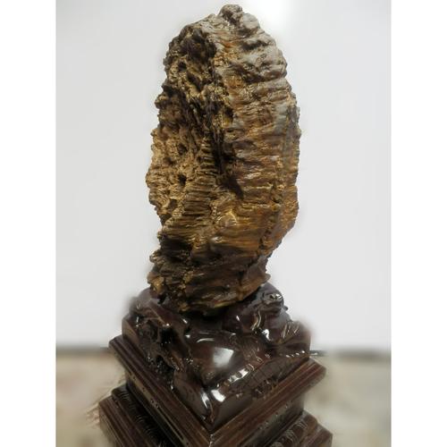 树化玉摆件 天然原石 木化石 年轮 硅化木 镇宅奇石 风水石 特价