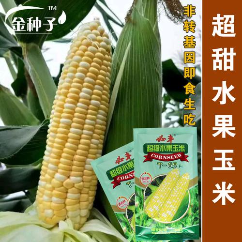 【超级水果玉米种子】 鲜食超甜玉米 生吃 甜脆 好种 基地专用种