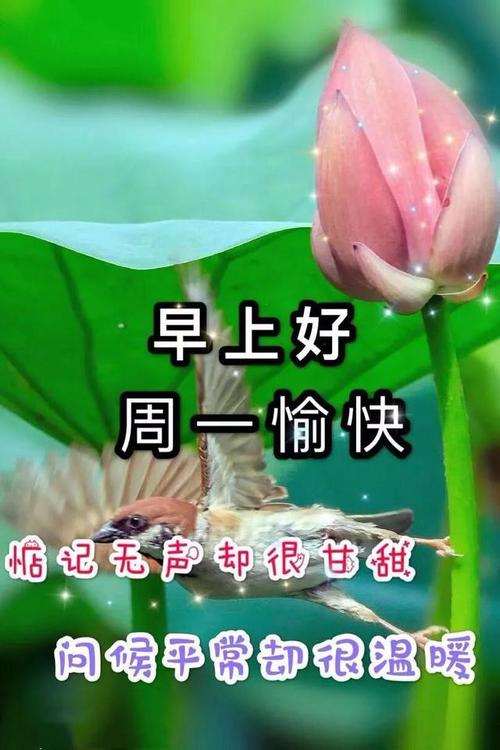 12月30周一早上好祝福表情图片,新的一周早晨问候语