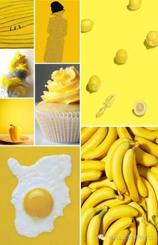 嘘……给你推荐些黄色的东西 (上)