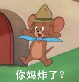 猫和老鼠表情百度图片搜索