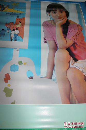 1992年明星挂历 王璐瑶 李林 潘捷 盖丽丽等 共12张