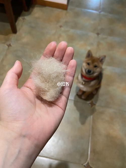 把它做到指甲上!_柴犬_显白_顶油_亲手晒美甲_美妆_美甲