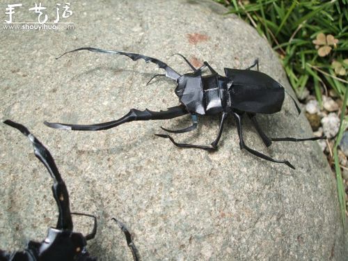 真假难辨的昆虫折纸作品欣赏