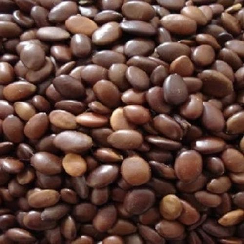 中药材批发 皂角子 皂荚子 供应选货 统货 皂角籽