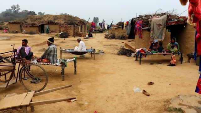 惨村里没网印度农村孩子为上网课爬山找信号不幸身亡