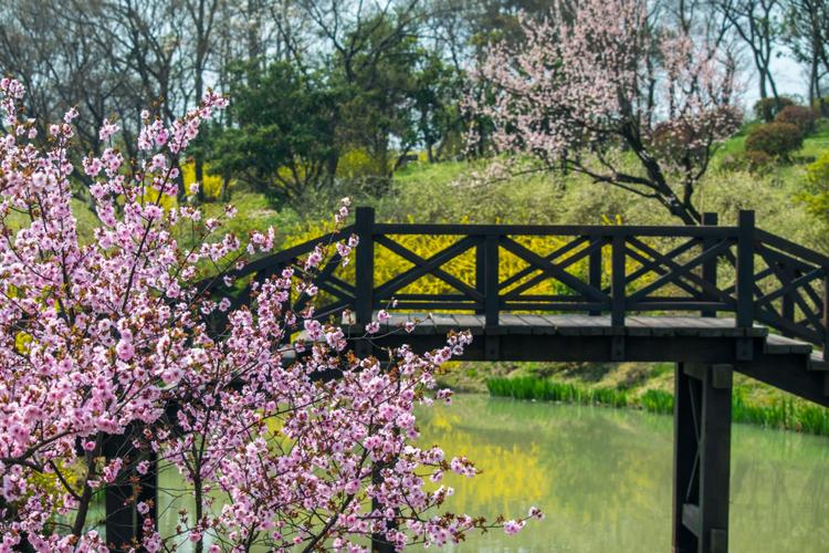 烟花三月上扬州