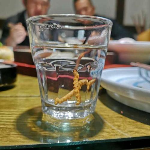 冬虫夏草泡水后水变成什么颜色?为什么会有这种变化?