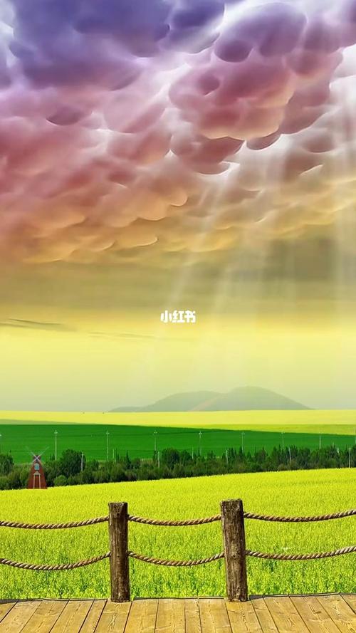 唯美,风景如画._唯美