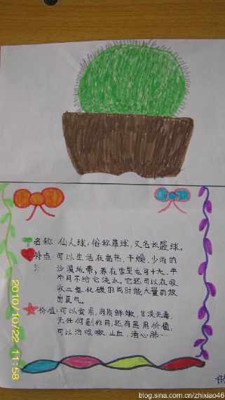 关于柚子的手抄报