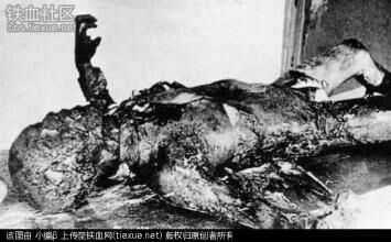 希特勒有没有自杀?