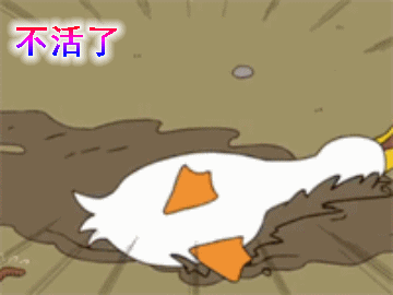 鸭子的搞笑动图表情包