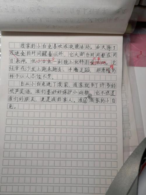 小白兔作文300字优秀作文